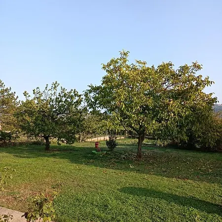 Biba Apartment Labin (Istria)