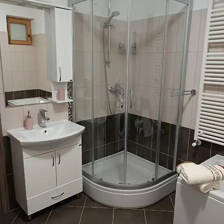 Biba Apartment Labin (Istria)