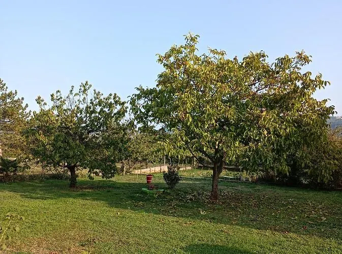 Biba Apartment Labin (Istria)
